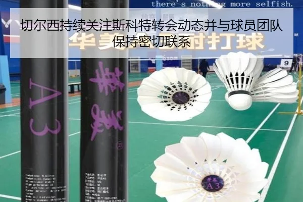 切尔西持续关注斯科特转会动态并与球员团队保持密切联系